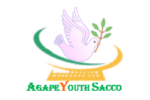 Mbarara Agape Youth SACCO